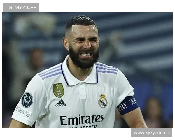 本泽马国家队禁赛事件及其生涯影响分析