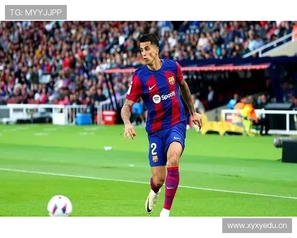 坎塞洛与哈兰德在推进节奏上出现分化倾向控球结构变化